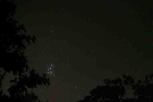 Pleiades yang indah. Kredit Foto : Nggieng