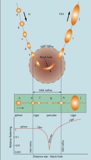 Gambaran kehancuran bintang akibat gaya pasang surut lubang hitam masif. Copyright J.-P. Luminet