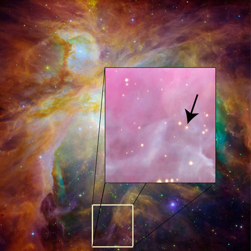 Panah menunjukan lokasi kedua bintang kembar yang ditemukan di nebula Orion. Kredit Gambar : NASA JPL/ HST, inset : David James