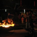 IMG_7176