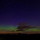 Aurora yang tampak di Denmark, lintang +56. Kredit : Jesper Grønne / spaceweather