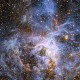 Bintang VFTS 682 yang ditemukan di Nebula Tarantula di Awan Magellan Besar. Kredit : ESO/M.-R. Cioni/VISTA Magellanic Cloud survey. Acknowledgment: Cambridge Astronomical Survey Unit