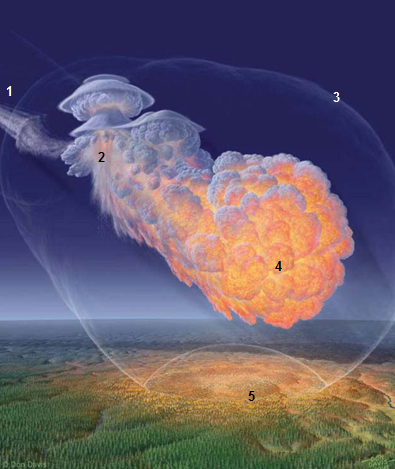 Gambar 4.  Ilustrasi bagaimana sebuah asteroid (1) memasuki atmosfer Bumi dan terpecah-belah demikian rupa hingga ketinggian tertentu untuk kemudian mengalami ledakan di udara (2) sembari melepaskan gelombang kejut (3) dan sinar panas (4). Hantaman gelombang kejut dan panas tinggi memorak-porandakan permukaan Bumi tepat di bawah titik ledaknya (5). Dalam peristiwa Siberia, energi ledakan dan ketinggian titik ledak adalah demikian rupa sehingga hanya gelombang kejutnya yang menerpa permukaan Bumi sementara sinar panasnya keburu menghilang. Sumber: Sandia National Laboratory, 2009. 