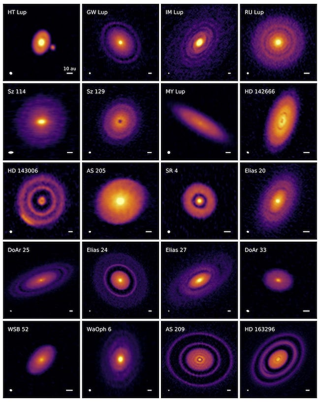20 Piringan protoplanet yang diamati ALMA. Kredit: Andrea Isella/DSHARP/ALMA