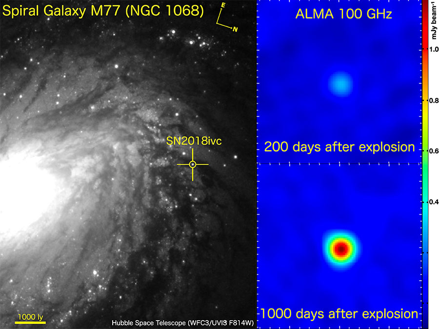 “SN 2018ivc: The Unusual Bright Supernova That Came Back to Life”