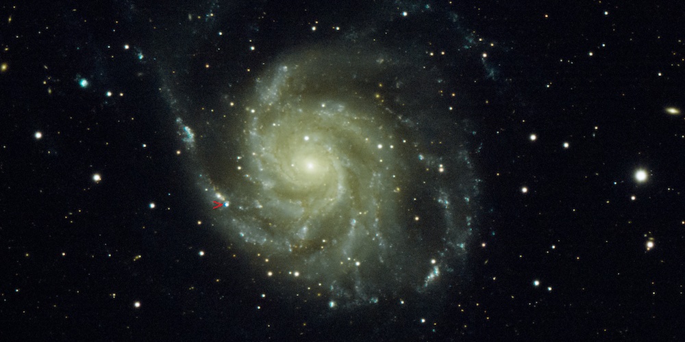 “Newly Discovered Supernova in Pinwheel Galaxy: SN 2023ixf”